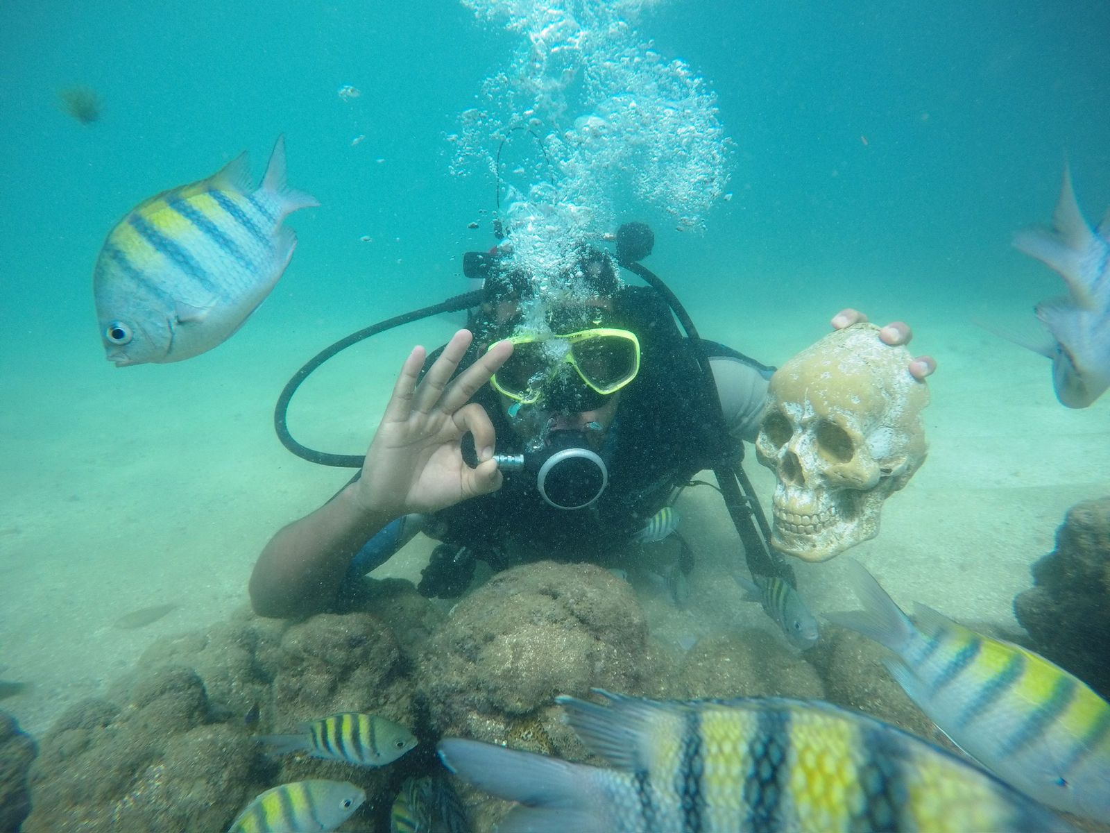 Mergulho